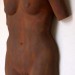 Iron Woman 2006, gypsum 34 x 22” x 8, artist Laura Lengyel